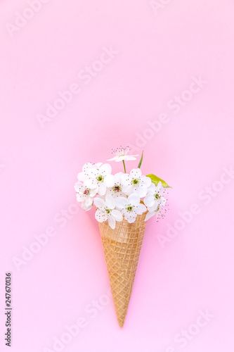 Fashion food set of Ice cream cone with white flowers on top over a pink background, minimalistic design. Top view