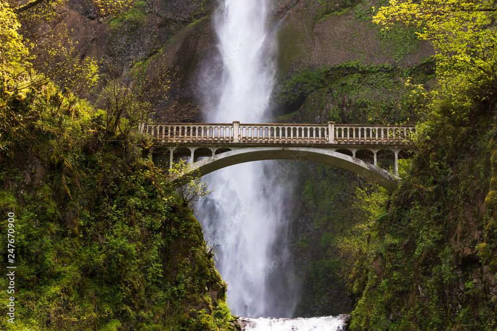 Fototapeta premium Multnomah Falls w pobliżu mostu