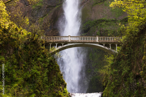 Fototapeta Naklejka Na Ścianę i Meble -  Multnomah Falls near the bridge