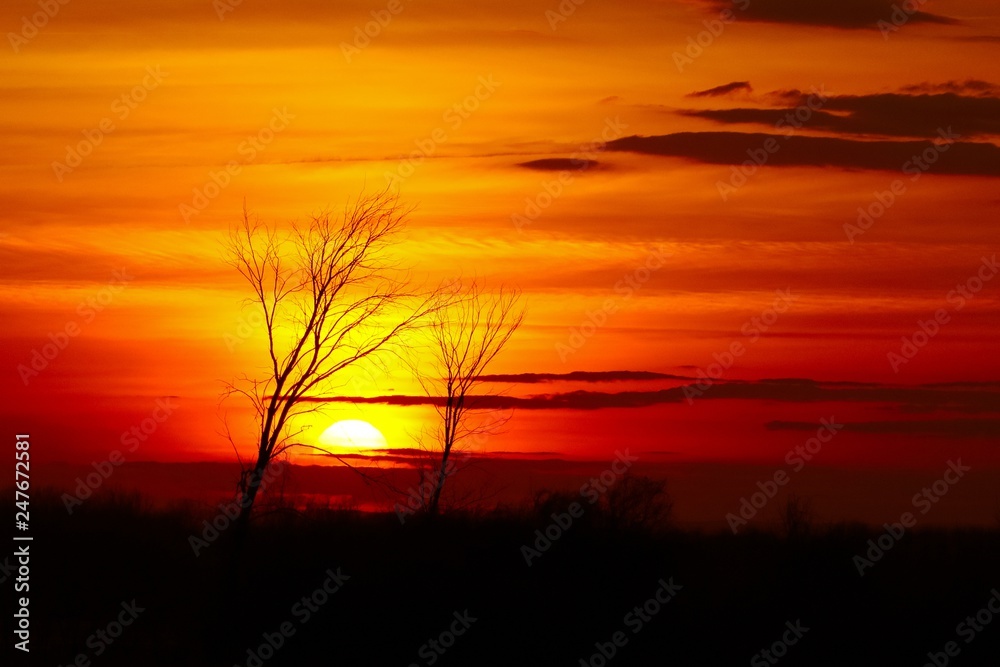 Sun setting between two trees silhouettes with deep red and orange cloudscape behind