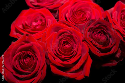Fleur rouge de saint valentin
