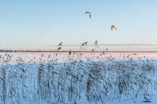 Cropped photo of cane on a snowbound lake, frosty winter day, the sun is shining/ selective focus on kites/ frozen lake, in the background people are doing snow kiting, kite skiing/ winter concept.