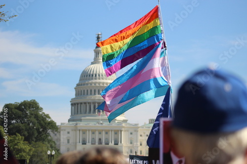 LGBTQ Flags photo