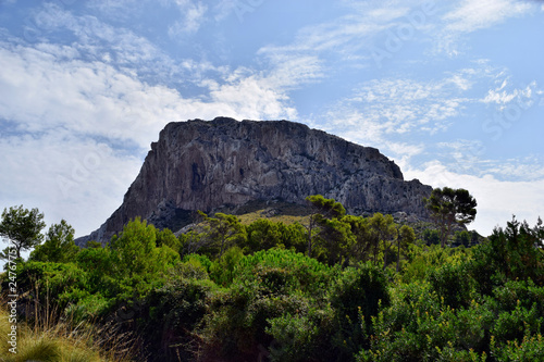 Formentor mountains and forest in Mallorca