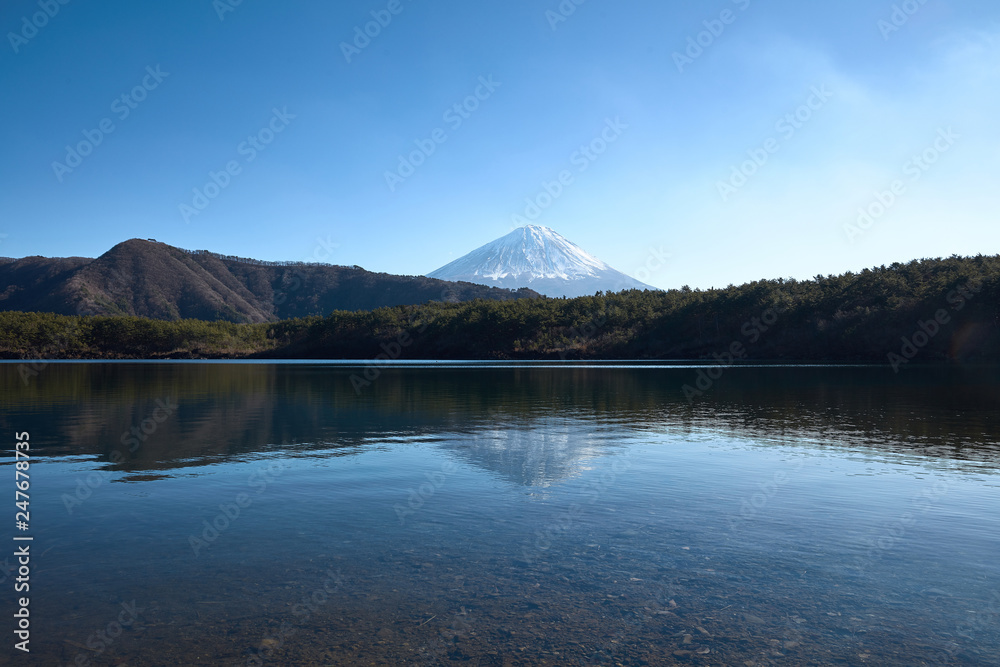 Obraz premium 西湖から見る富士山
