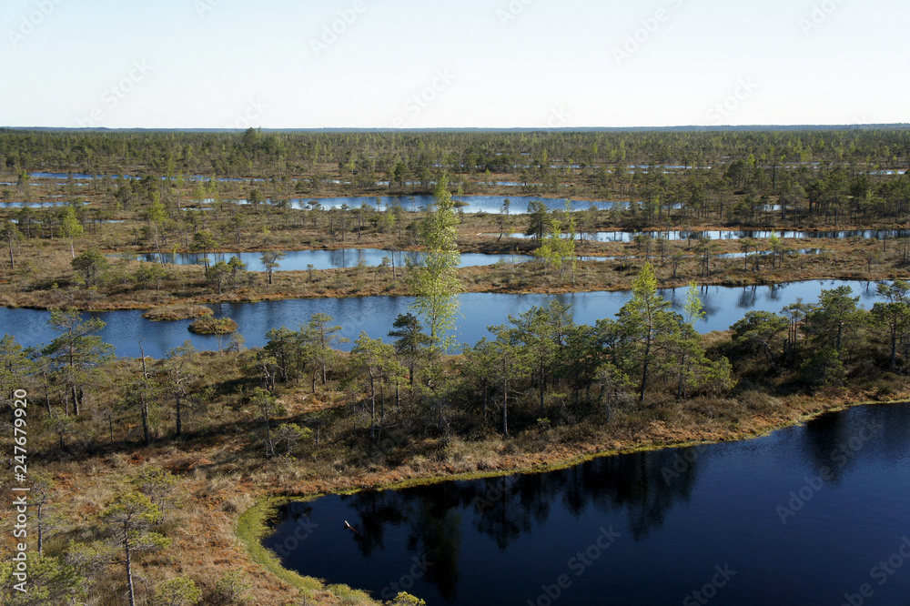 The Great Bog.Kemeri National Park.Latvia. The Great Bog.Kemeri National Park.Latvia.
