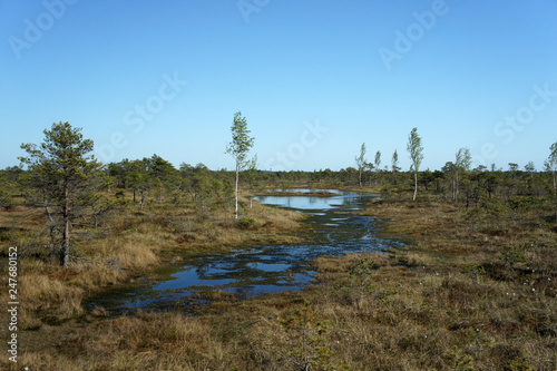 The Great Bog.Kemeri National Park.Latvia.