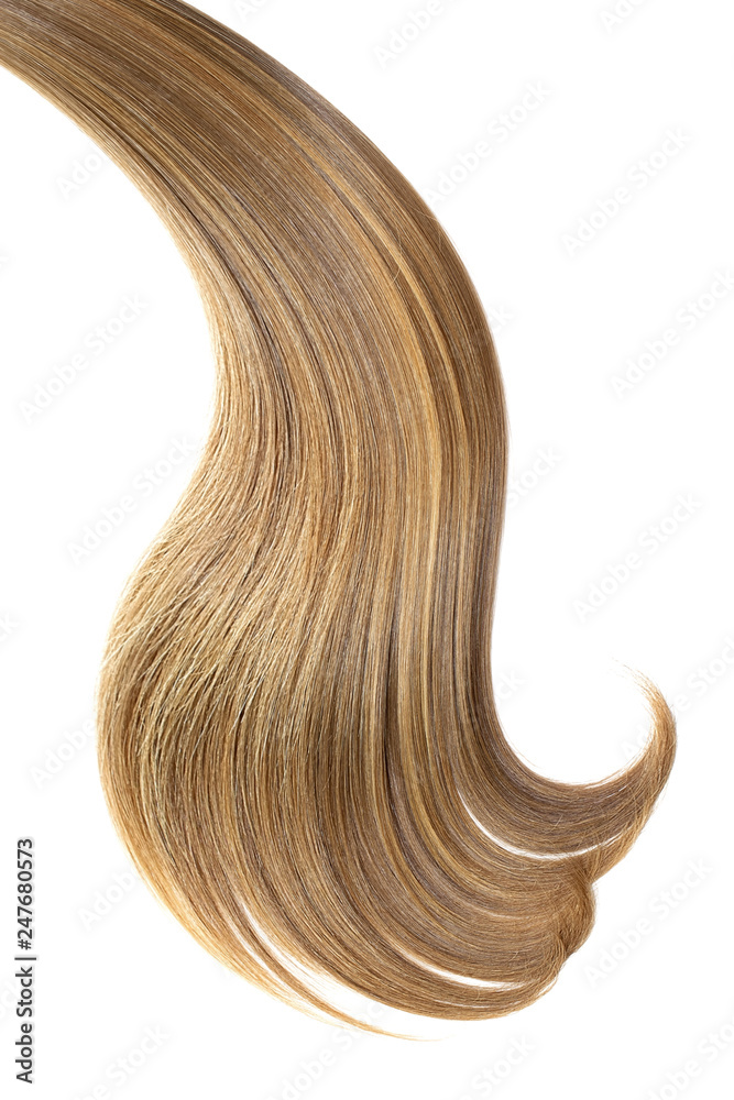 Brown hair, isolated on white background. Long ponytail