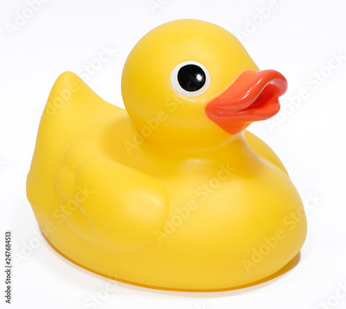 Plastic Duck