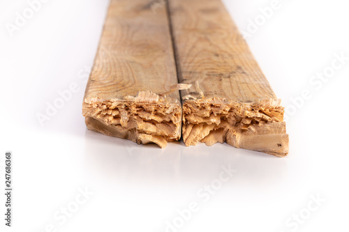 Fractured wood stud used in construction, endurance concept.