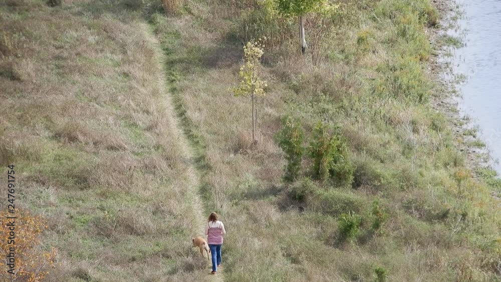 4K Woman Walking Her Dog Along Pathway In Grass With Water On Right Side And New Saplings 4K Woman Walking Her Dog Along Pathway In Grass With Water On Right Side And New Saplings