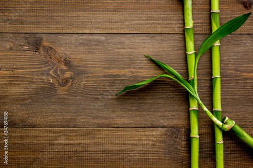 Fototapeta Naklejka Na Ścianę i Meble -  Asian background. Green bamboo branches on dark wooden background top view copy space