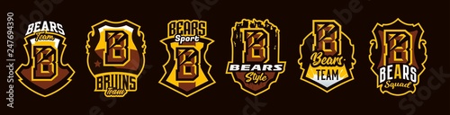 A set of colorful emblems, badges, stickers, logos on a bear theme. A letter, a cut from claws, a wound, a shield, a seal on T-shirts. Vector illustration