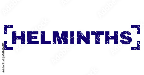 HELMINTHS text seal imprint with corroded texture. Text caption is placed inside corners. Blue vector rubber print of HELMINTHS with dust texture.