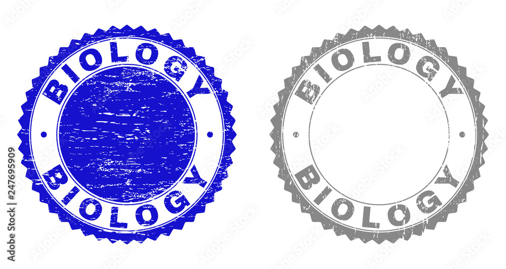 Grunge BIOLOGY stamp seals isolated on a white background. Rosette seals with grunge texture in blue and grey colors. Vector rubber overlay of BIOLOGY title inside round rosette.