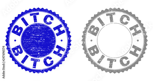 Grunge BITCH stamp seals isolated on a white background. Rosette seals with grunge texture in blue and grey colors. Vector rubber imprint of BITCH tag inside round rosette.