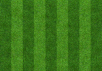 Green grass field background for soccer and football sports. Green lawn pattern and texture background. Close-up.