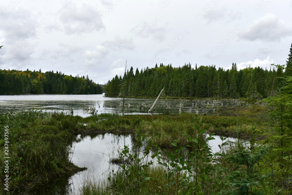 Obraz premium Lac québécois, la nature pure