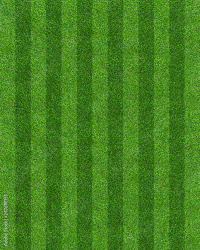Green grass field background for soccer and football sports. Green lawn pattern and texture background. Close-up.