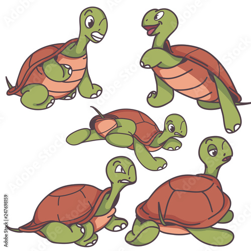 bundle pack cute turtle cartoon