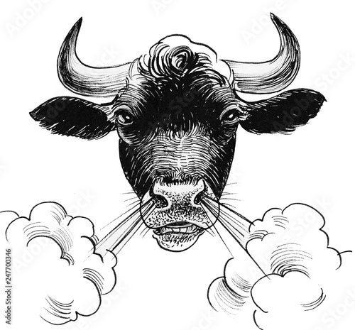 Angry black bull. Ink black and white illustration