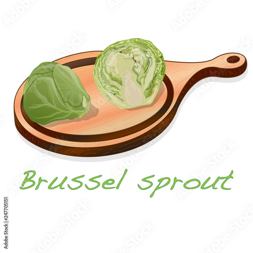 A pile of Brussels sprouts on the dish vector illustration. White background.