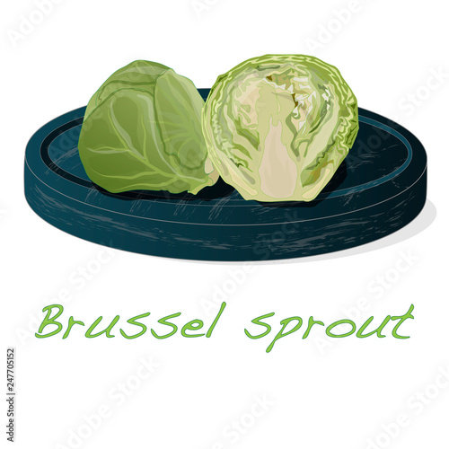 A pile of Brussels sprouts on the dish vector illustration. White background.