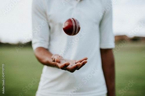 Cricket player ready to throw the ball photo