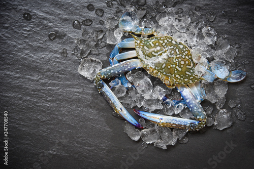 Seafood crab on ice / Fresh raw Blue Swimming Crab ocean gourmet with ice on dark