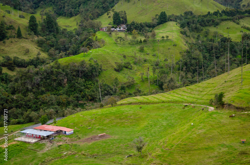 Piasaje del Eje Cafetero en Colombia photo