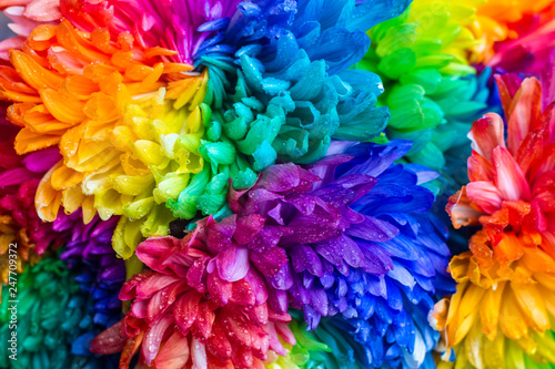 bouquet of colorful chrysanthemums