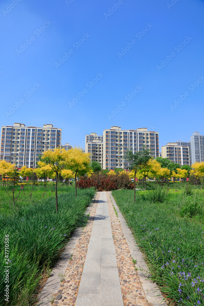 Urban architectural scenery Urban architectural scenery