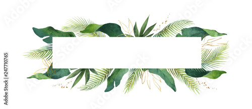 Watercolor vector banner tropical leaves isolated on white background.