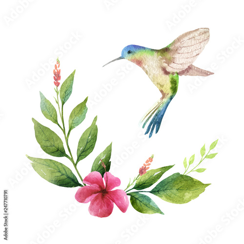 Watercolor vector card green leaves, hummingbird and flowers isolated on white background.
