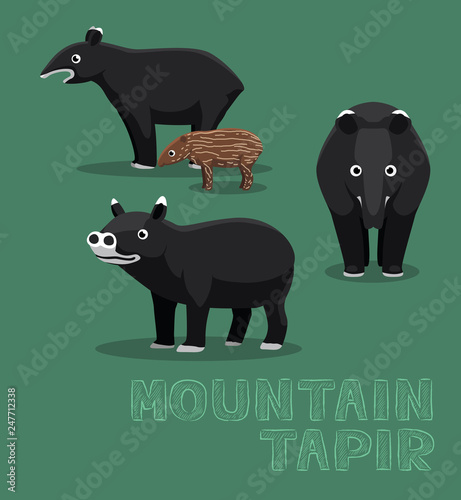 Mountain Tapir Cute Cartoon Vector Illustration