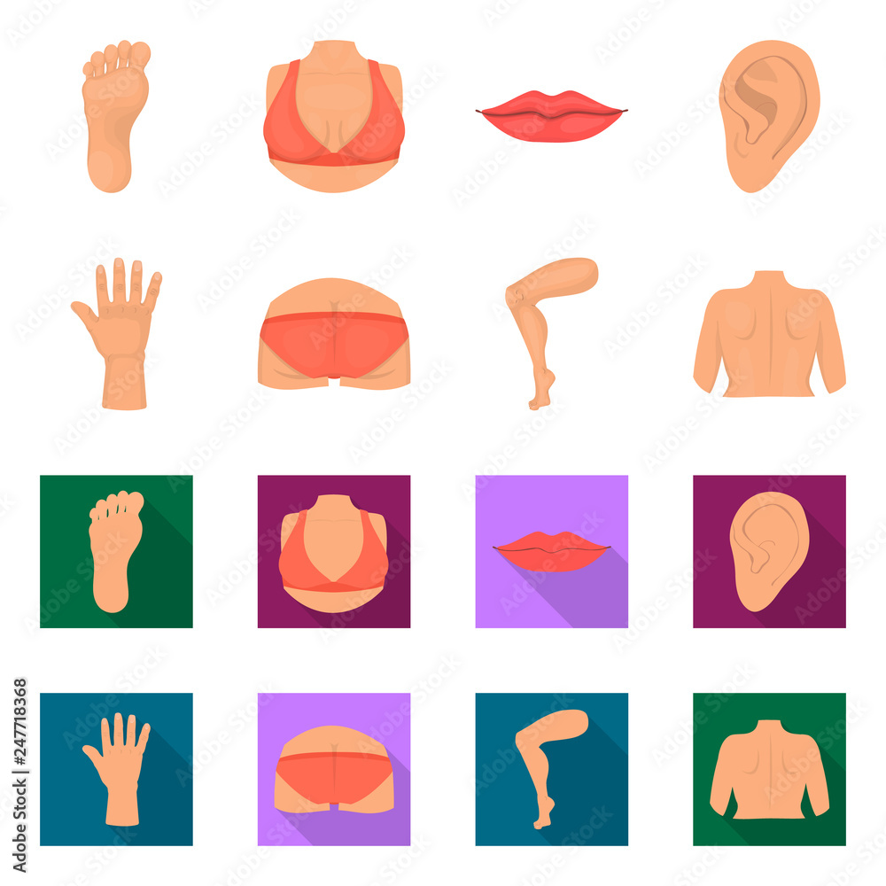 Isolated object of body and part icon. Set of body and anatomy vector icon for stock.