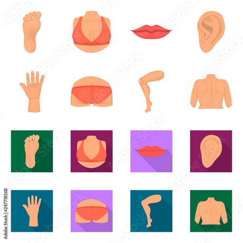 Isolated object of body and part icon. Set of body and anatomy vector icon for stock.