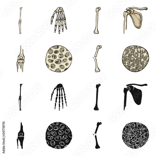Vector design of medicine and clinic symbol. Set of medicine and medical vector icon for stock.