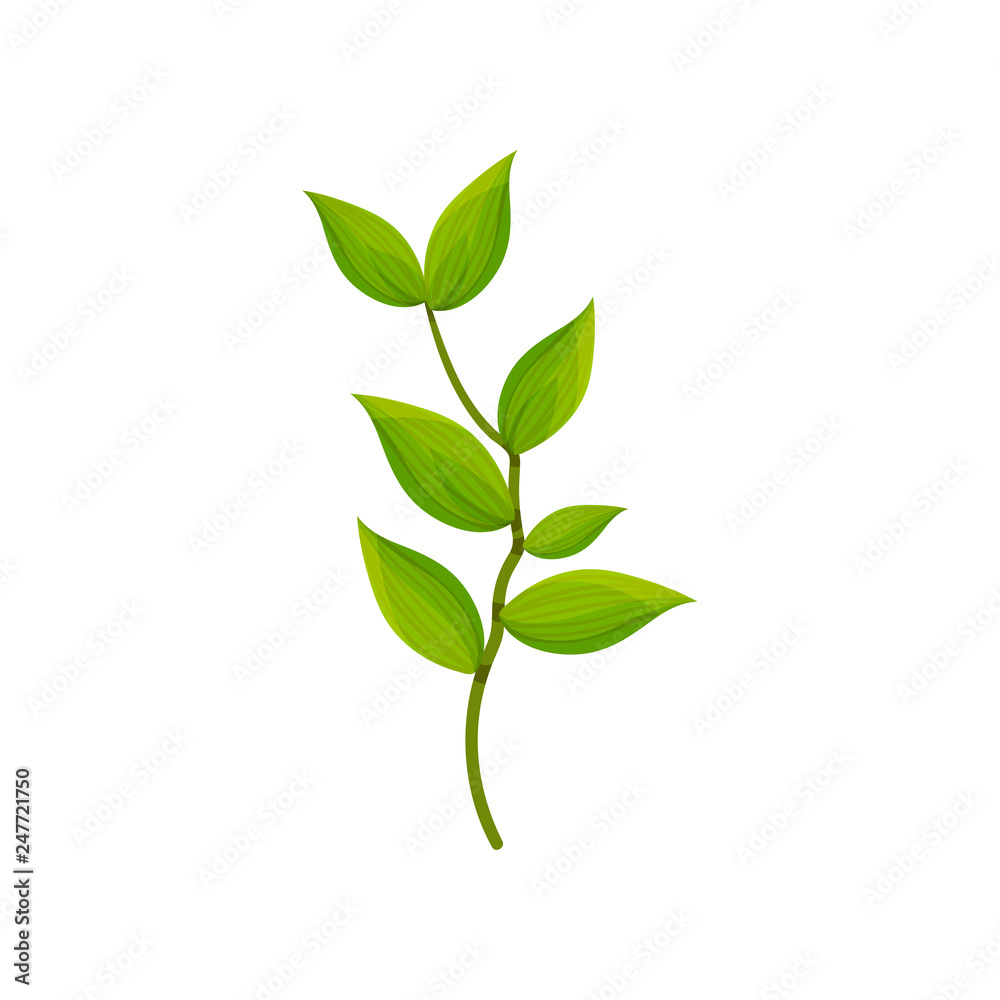 Detailed flat vector icon of branch with fresh leaves. Small sprig with bright green foliage. Nature and botany theme