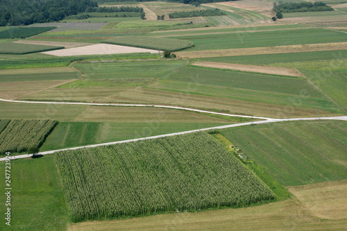 Meadows and fields. Aerial image