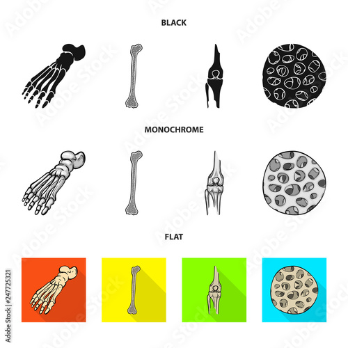Vector design of medicine and clinic logo. Set of medicine and medical vector icon for stock.