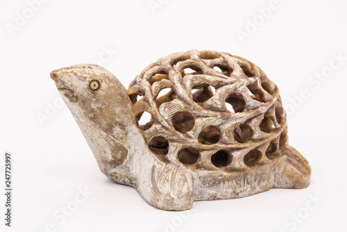 turtle isolated on white background