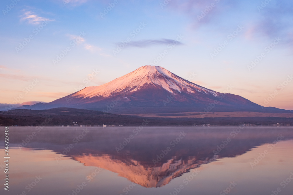 朝の太陽の光に染まる富士山