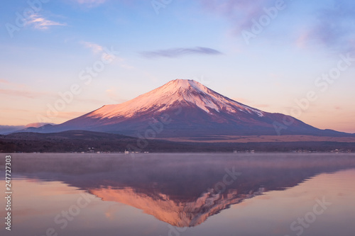 朝の太陽の光に染まる富士山