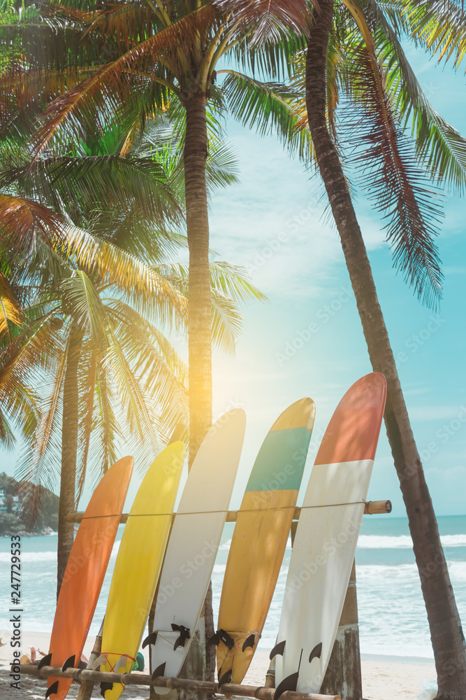 Many surfboards beside coconut trees at summer beach with sun light and blue sky background. - obrazy, fototapety, plakaty 
