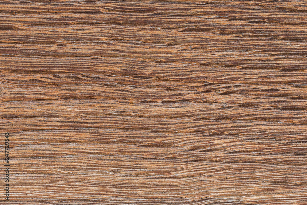 Very Old Wood Background, closeup. wood texture . old and very aged wood texture close up. backgrounds, texture is very old wood in the process of prolonged natural decomposition and weathering. Very Old Wood Background, closeup. wood texture . old and very aged wood texture close up. backgrounds, texture is very old wood in the process of prolonged natural decomposition and weathering.