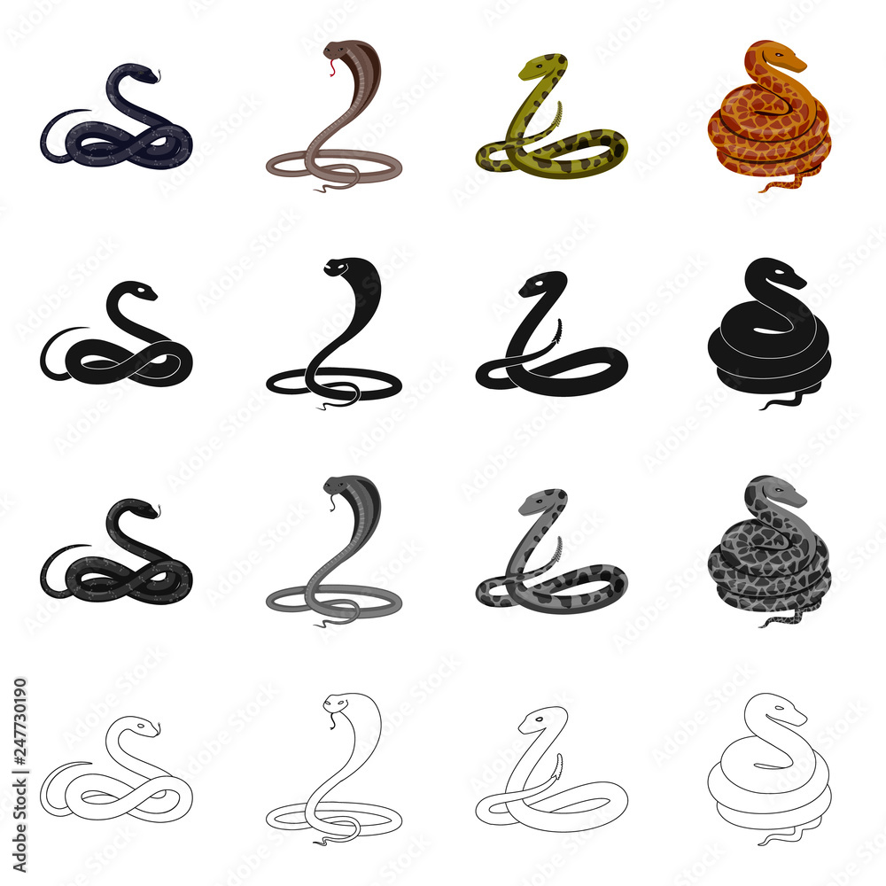Vector design of mammal and danger symbol. Collection of mammal and medicine vector icon for stock. Vector design of mammal and danger symbol. Collection of mammal and medicine vector icon for stock.