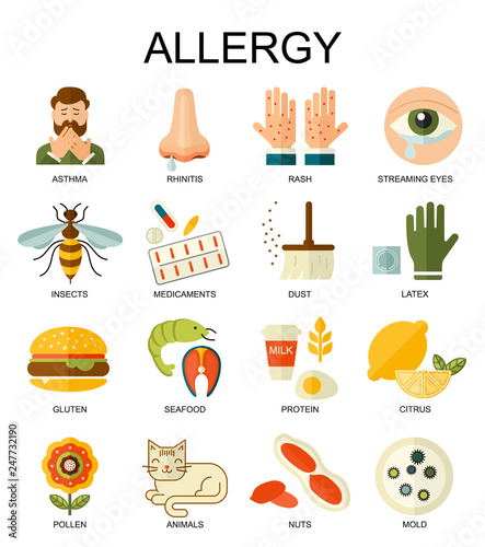 Allergy symptoms vector flat style  illustration. The most common allergens in red crossed circles icons set.  Medicine and health symbols.
