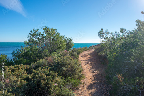 Walk along the coast of ametlla de mar in tarragona photo