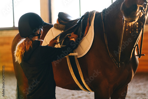 equestrian horse training 